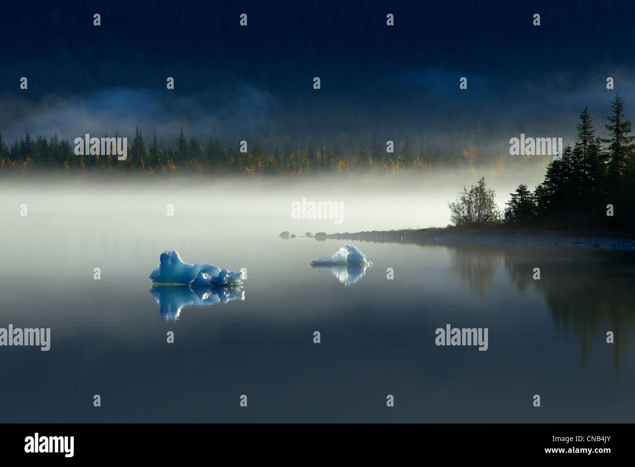 Icebergs float on the calm surface of Mendenhall Lake on a misty Fall morning, Mendenhall Glacier, Juneau, Southeast Alaska Stock Photo