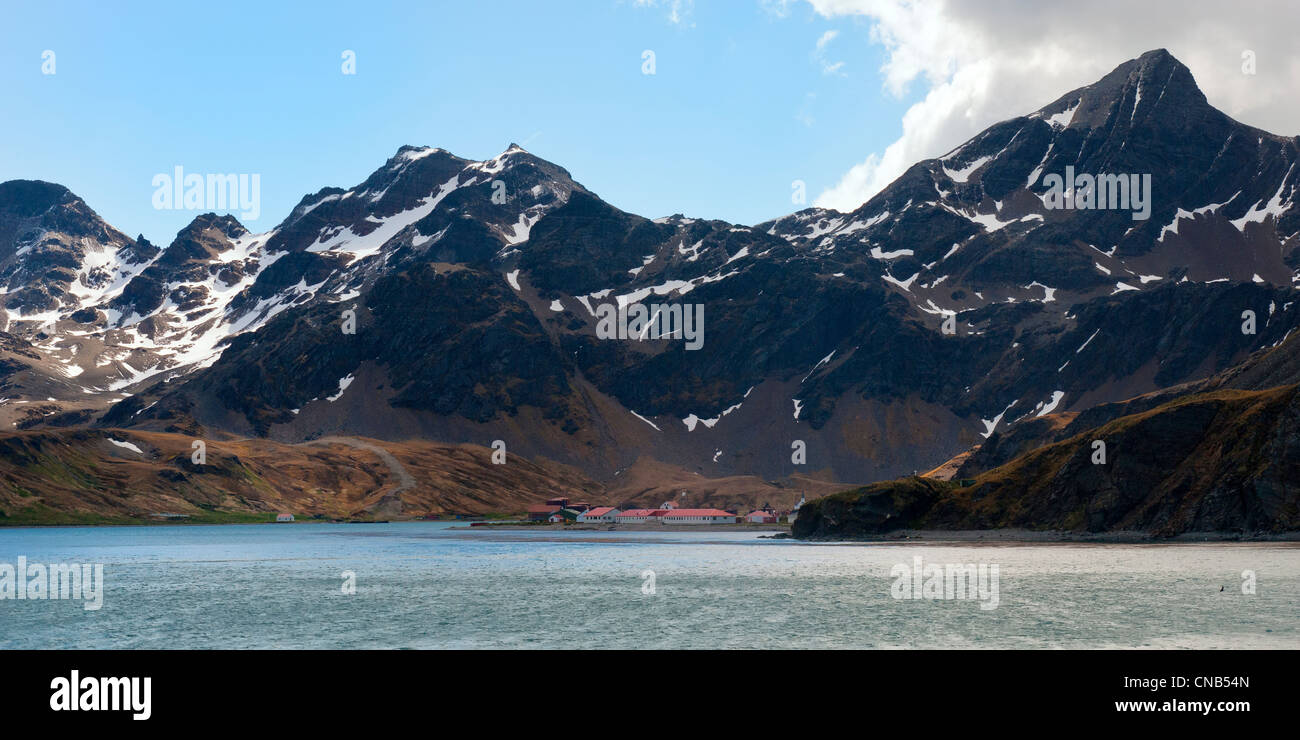 King Edward Cove, Grytviken, Cumberland Bay, South Stock Photo Alamy