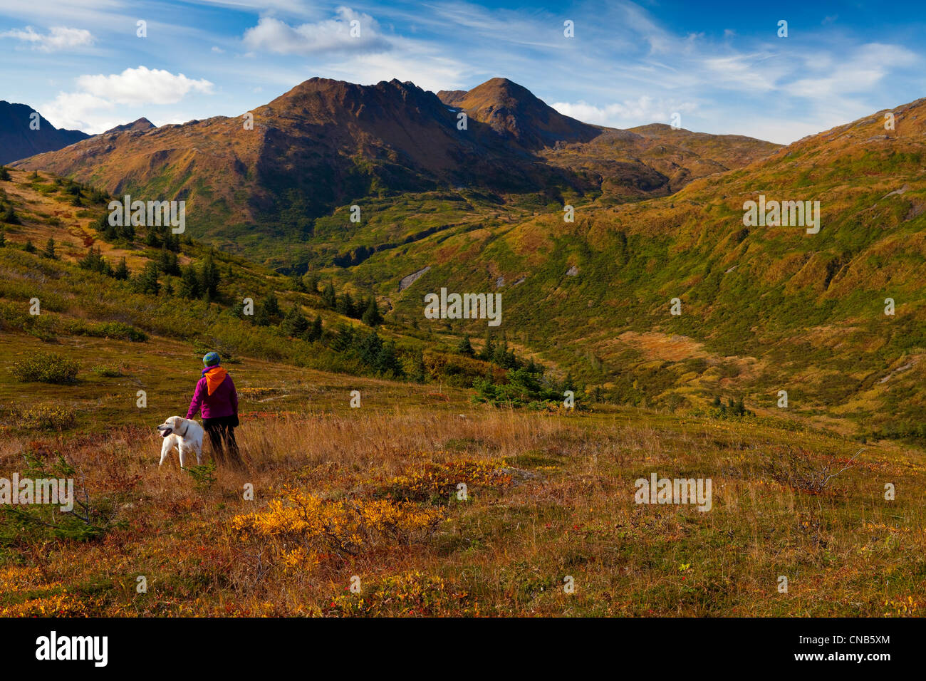 Mature woman hikes with her dog on Old Womens Mountain, near the city of Kodiak, Kodiak, Southwest Alaska, Autumn Stock Photo
