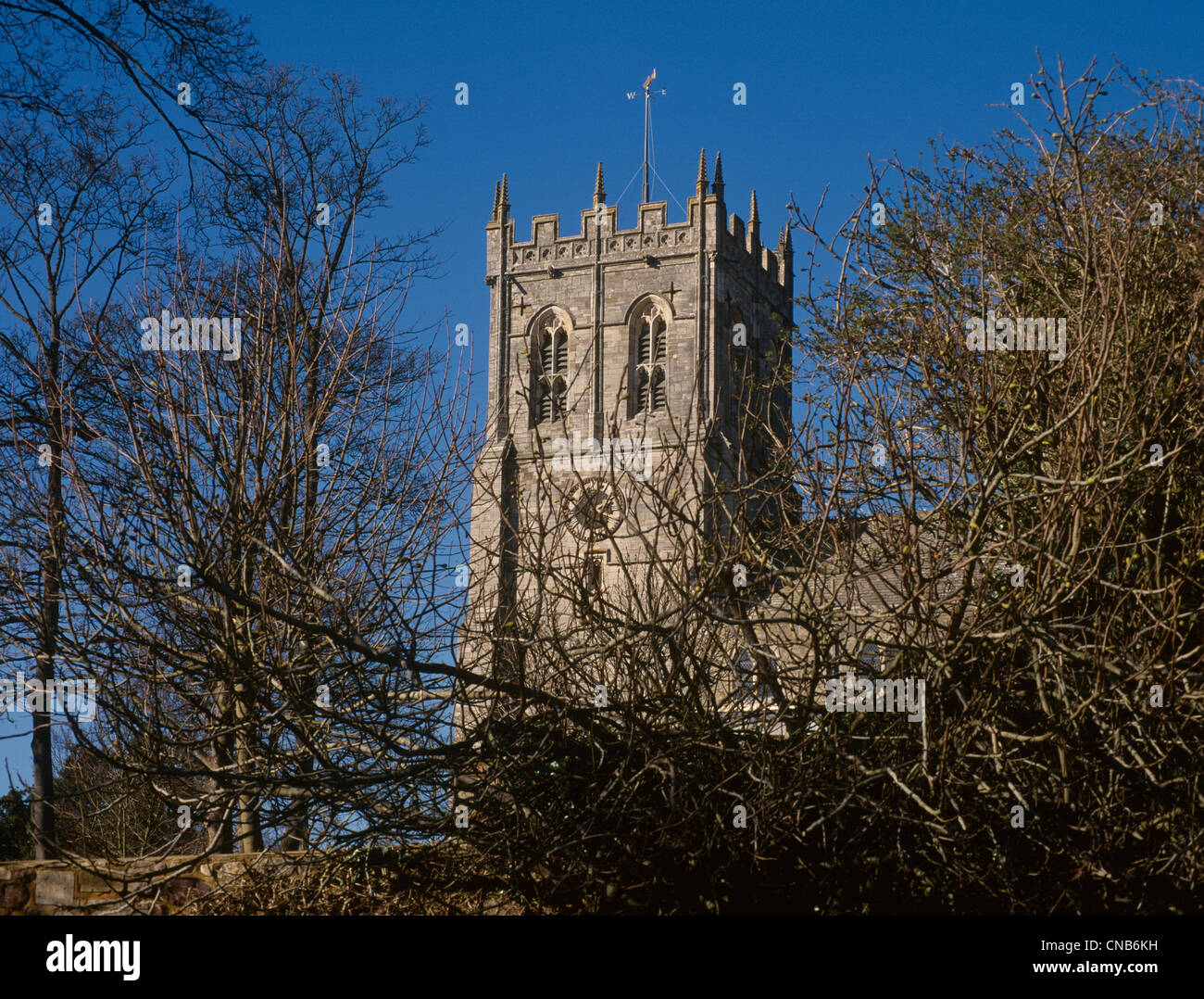 Christchurch Dorset Priory Detail of W tower partly covered by trees Stock Photo