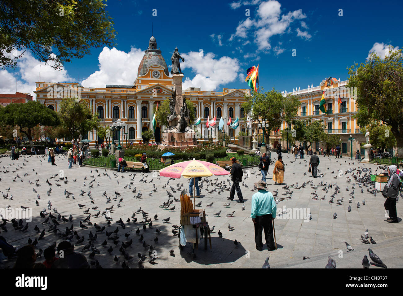 pigeons on Plaza Murillo, behind National Congress Building or Palacio Legislativo, Congreso de