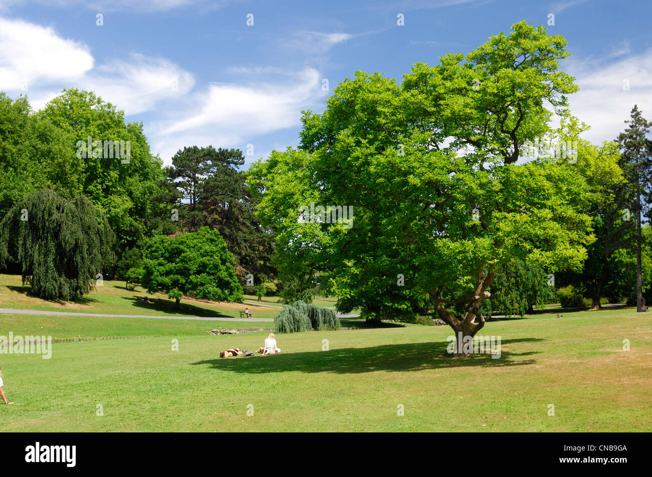 France, Nord, Roubaix, relaxing on the lawns of the parc Barbieux Stock Photo