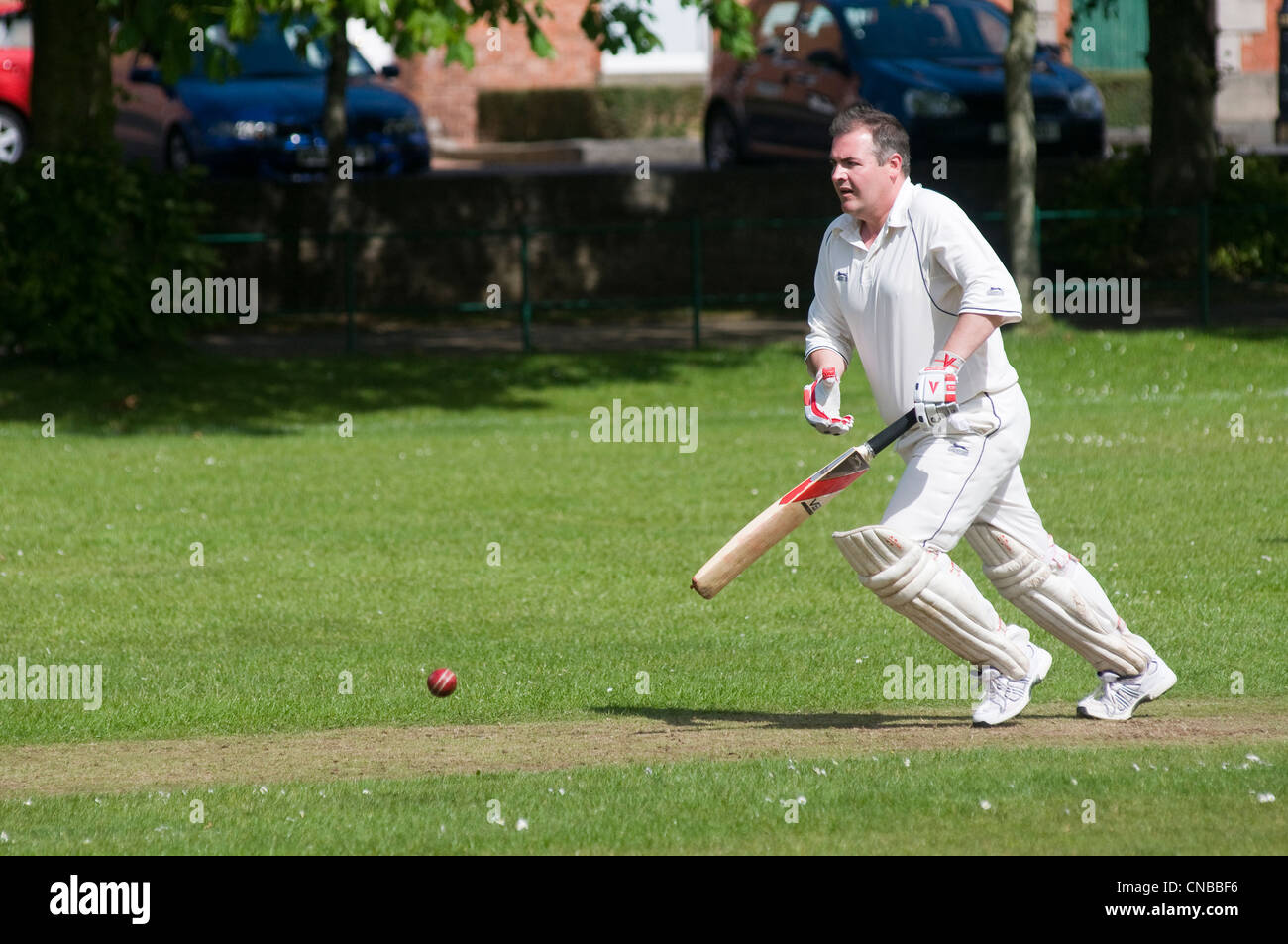 United Kingdom, Northern Ireland, Armagh county, Armagh, players of cricket Stock Photo