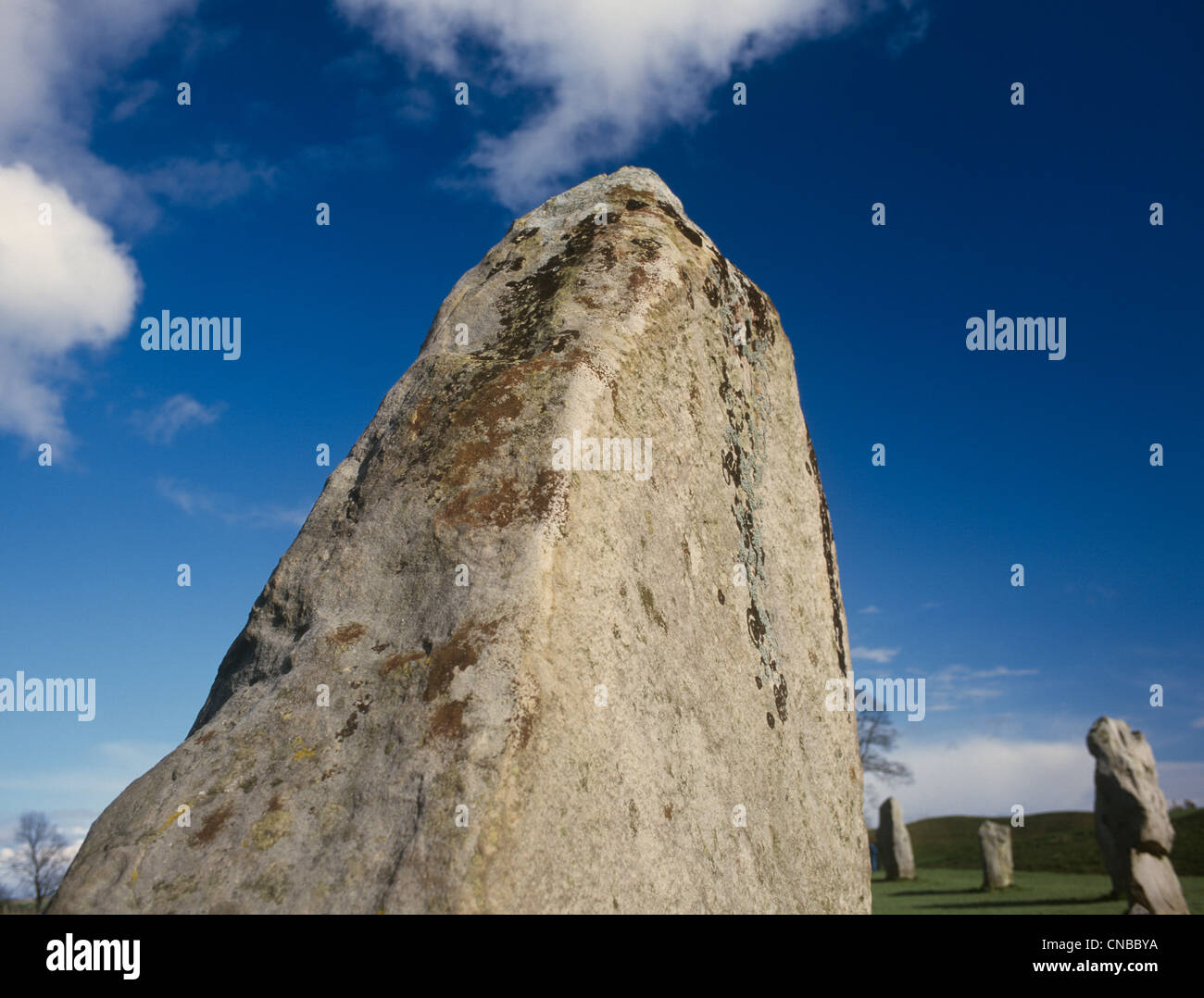 Avebury WI SW quadrant Detail of Standing stone Stock Photo