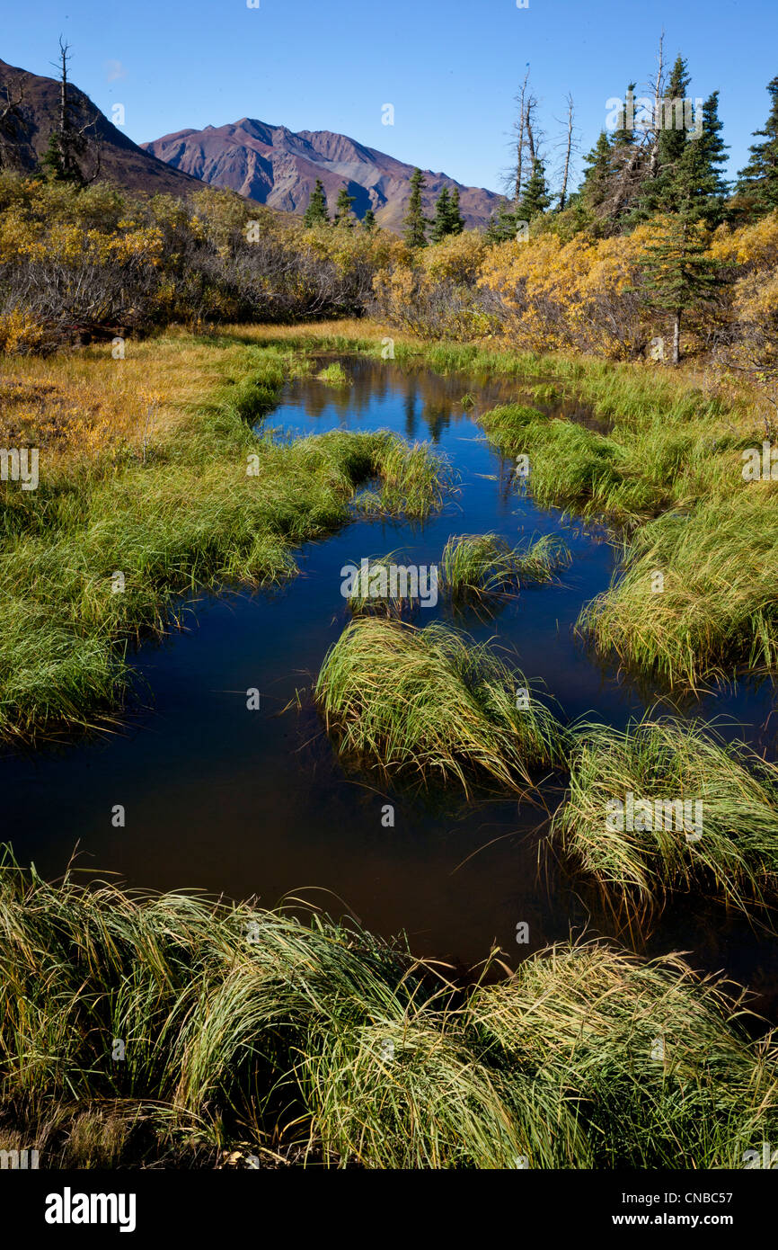 Pond and wetland area near mile 50 of the park road in Denali National Park and Preserve, Interior Alaska, Autumn Stock Photo