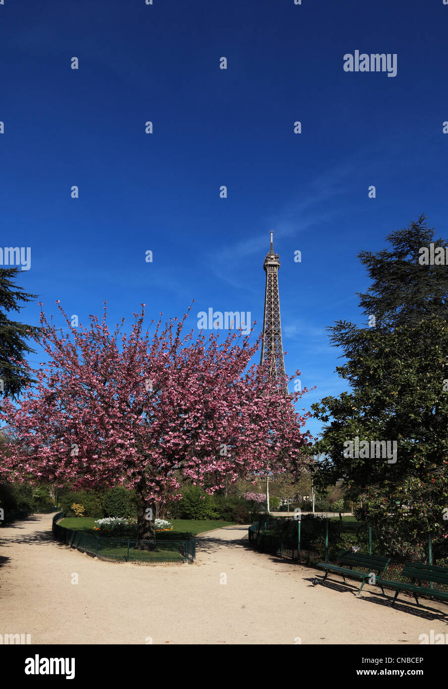 Image during the spring, of the Eiffel Tower from a beautiful park in the vicinity. Stock Photo