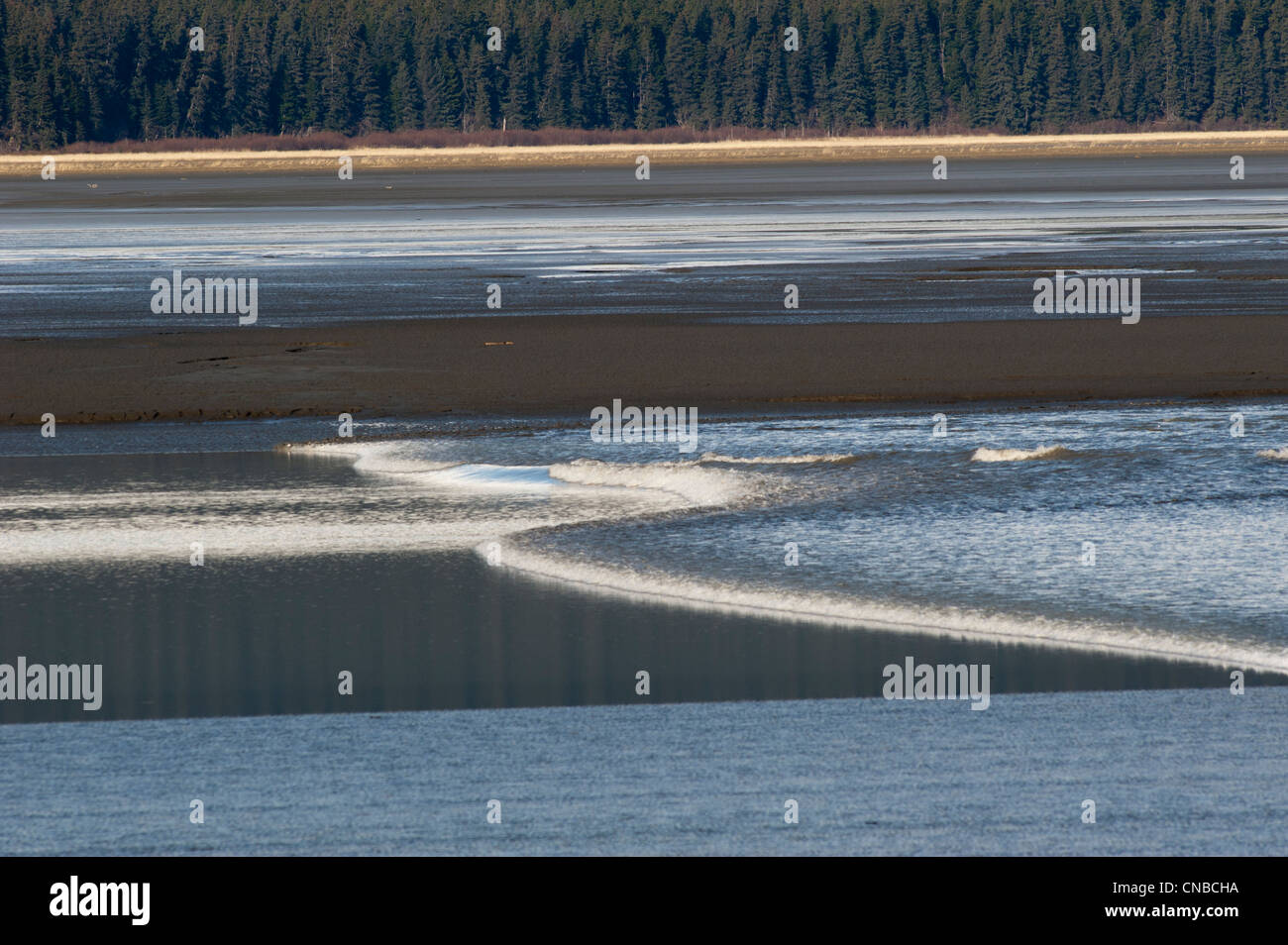 A bore tide rolls up the Turnagain Arm, Southcentral Alaska, Spring