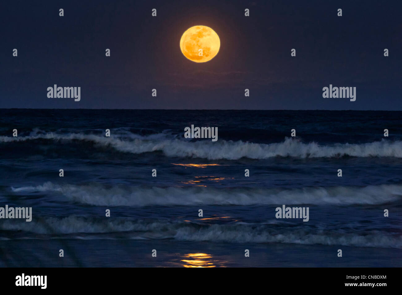 Full Moon rising over Atlantic ocean from beach on Hilton Head Island South Carolina by Jim Crotty Stock Photo