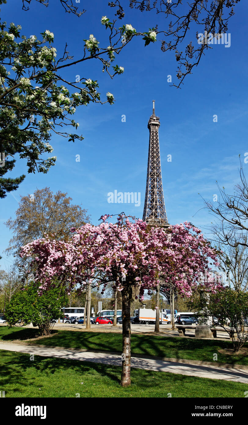 Image during the spring, of the Eiffel Tower from a beautiful park in the vicinity. Stock Photo