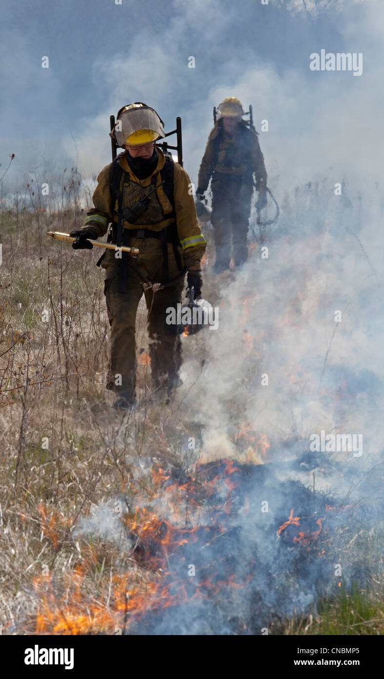 Workers wearing protective clothing burn parts of River Rouge Park in