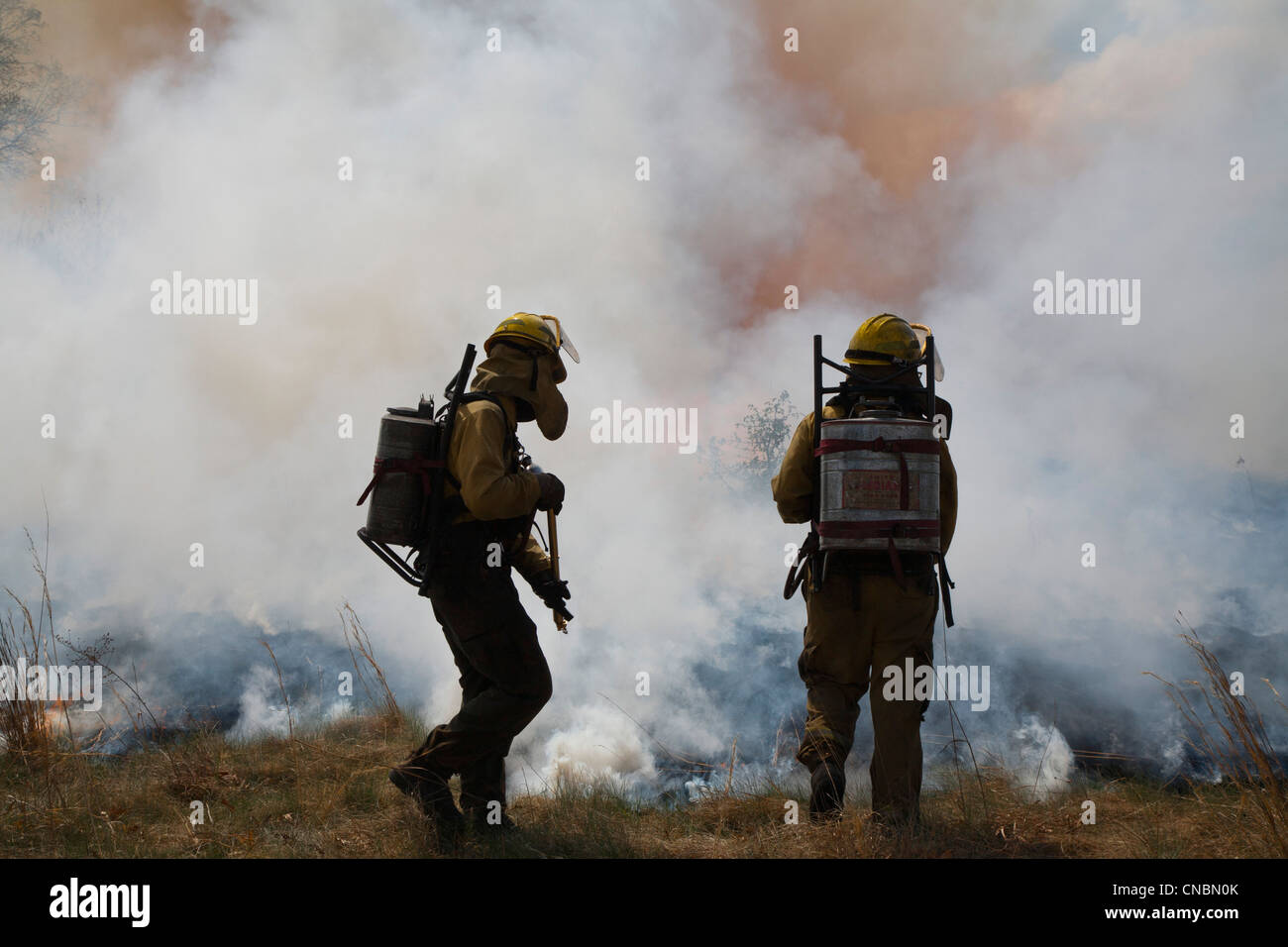 Workers wearing protective clothing burn parts of River Rouge Park in