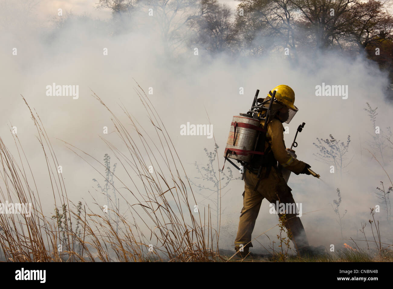 Workers wearing protective clothing burn parts of River Rouge Park in