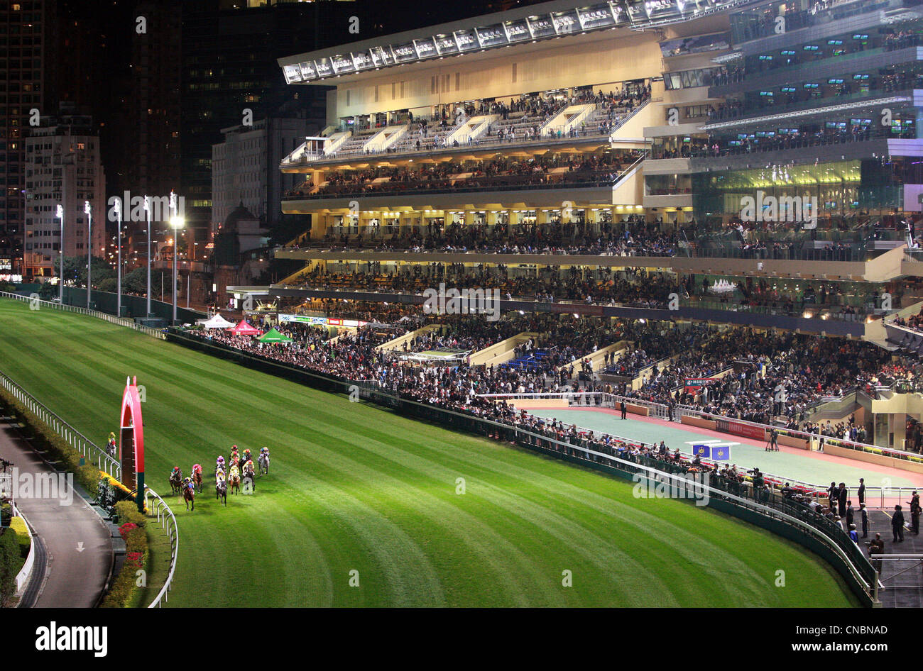 Hong Kong Horse Track off track horse racing