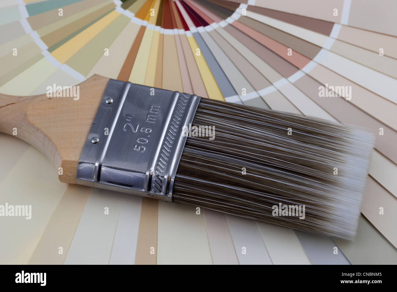 Paint swatches and brush hi-res stock photography and images - Alamy