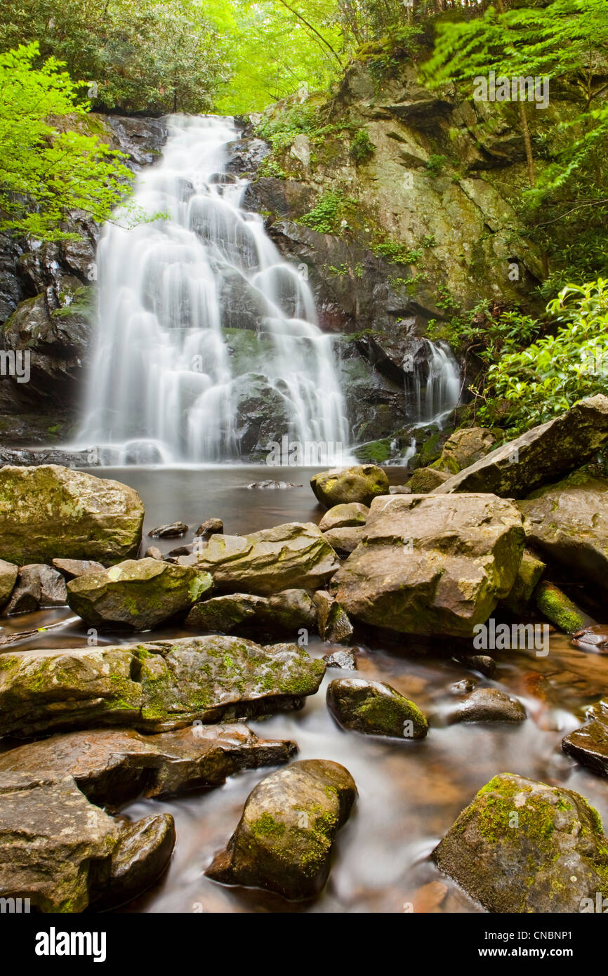 Spruce Flats Falls waterfall in the Great Smoky Mountain National Park Tennessee and North Carolina Stock Photo
