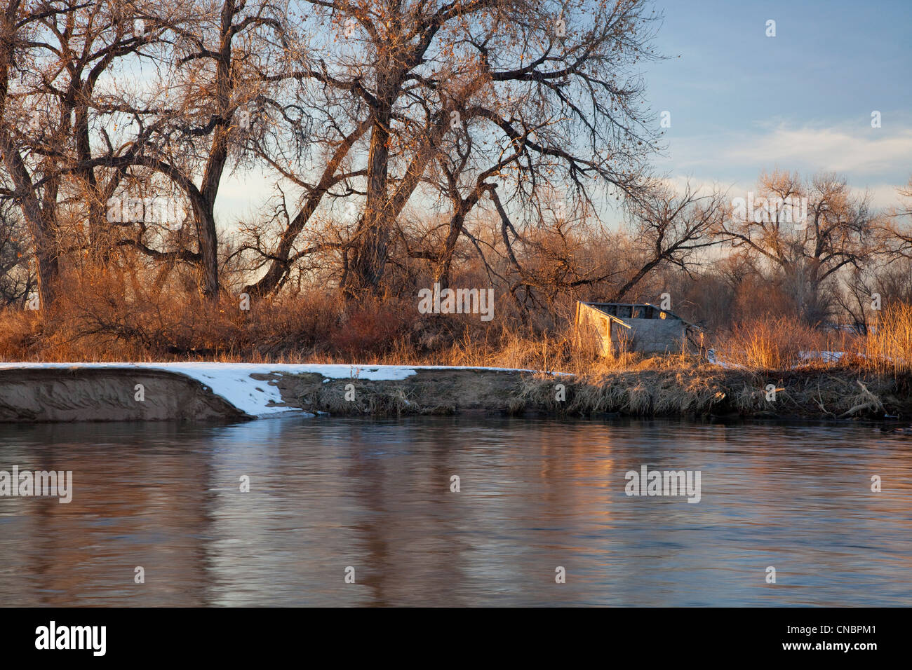 old blind for waterfowl hunting on shore of South Platte River, Colorado near Greeley, winter scenery Stock Photo