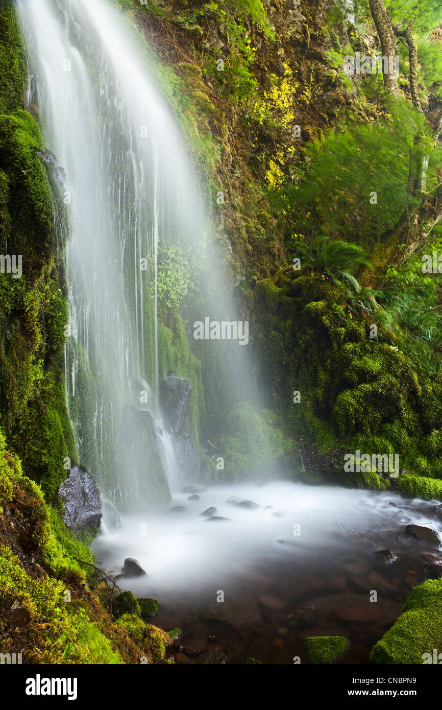 Beautiful waterfall, Lancaster Falls, in the Columbia River