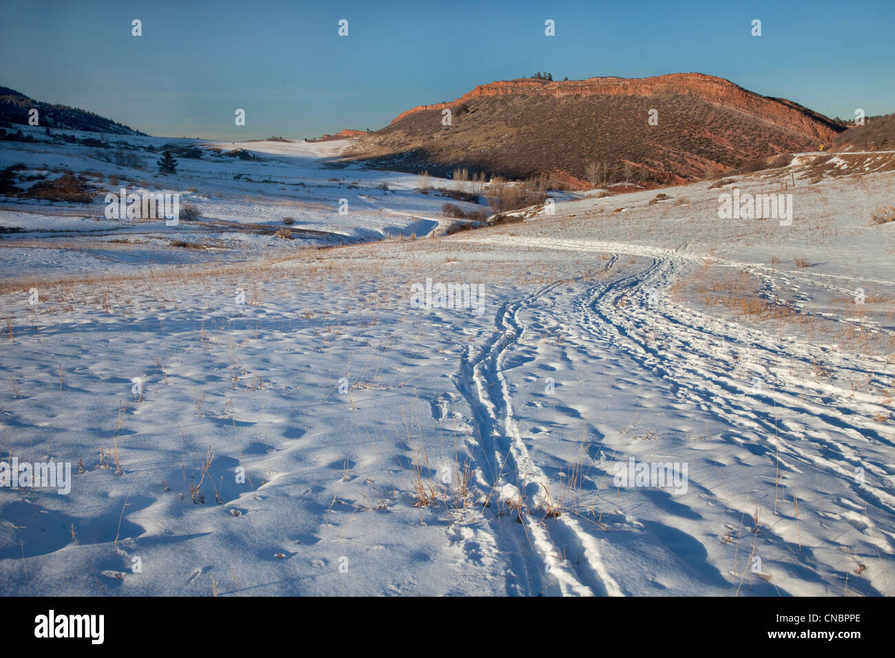 winter trail with footprints, cross country ski and snowshoe tracks at