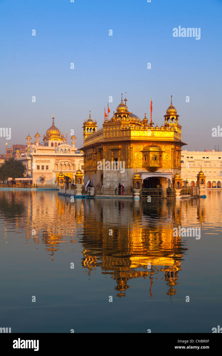 India, Punjab, Amritsar, golden Temple in golden morning light ...