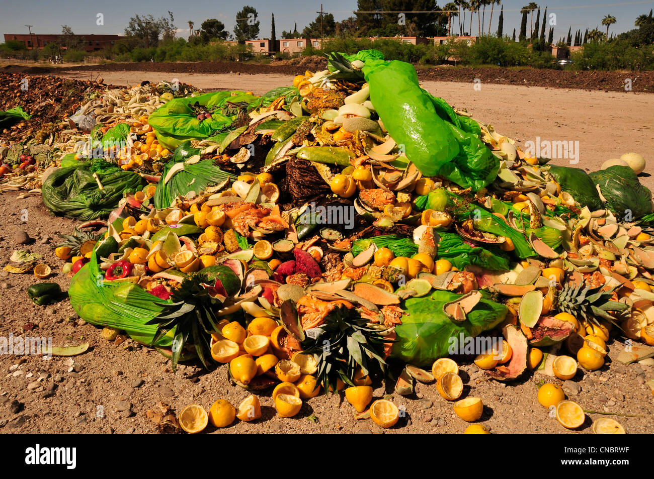 Food and compostable materials from restaurants and food vendors are left to compost. Stock Photo