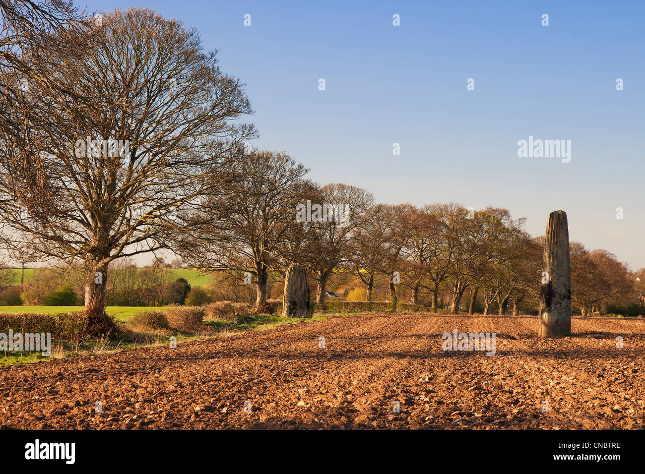 Two of the Devil's Arrows, three prehistoric monoliths (including the second tallest in the UK), Boroughbridge, North Yorkshire. Stock Photo
