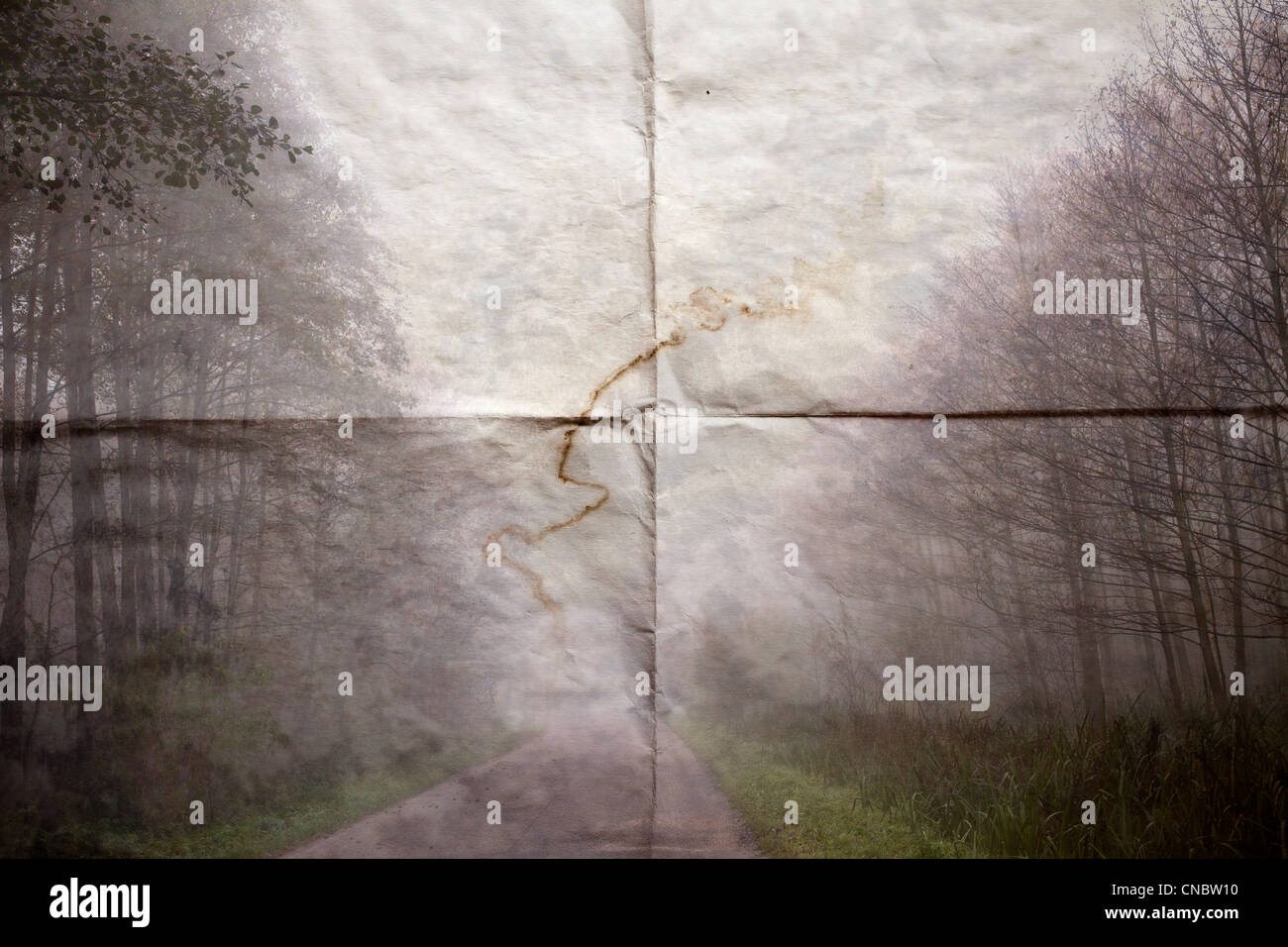 Foggy road hi-res stock photography and images - Alamy