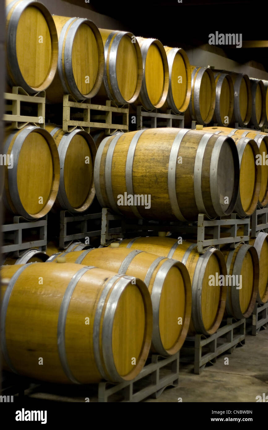 A vineyard cellar where barrels of wine age in stacked rows. Stock Photo
