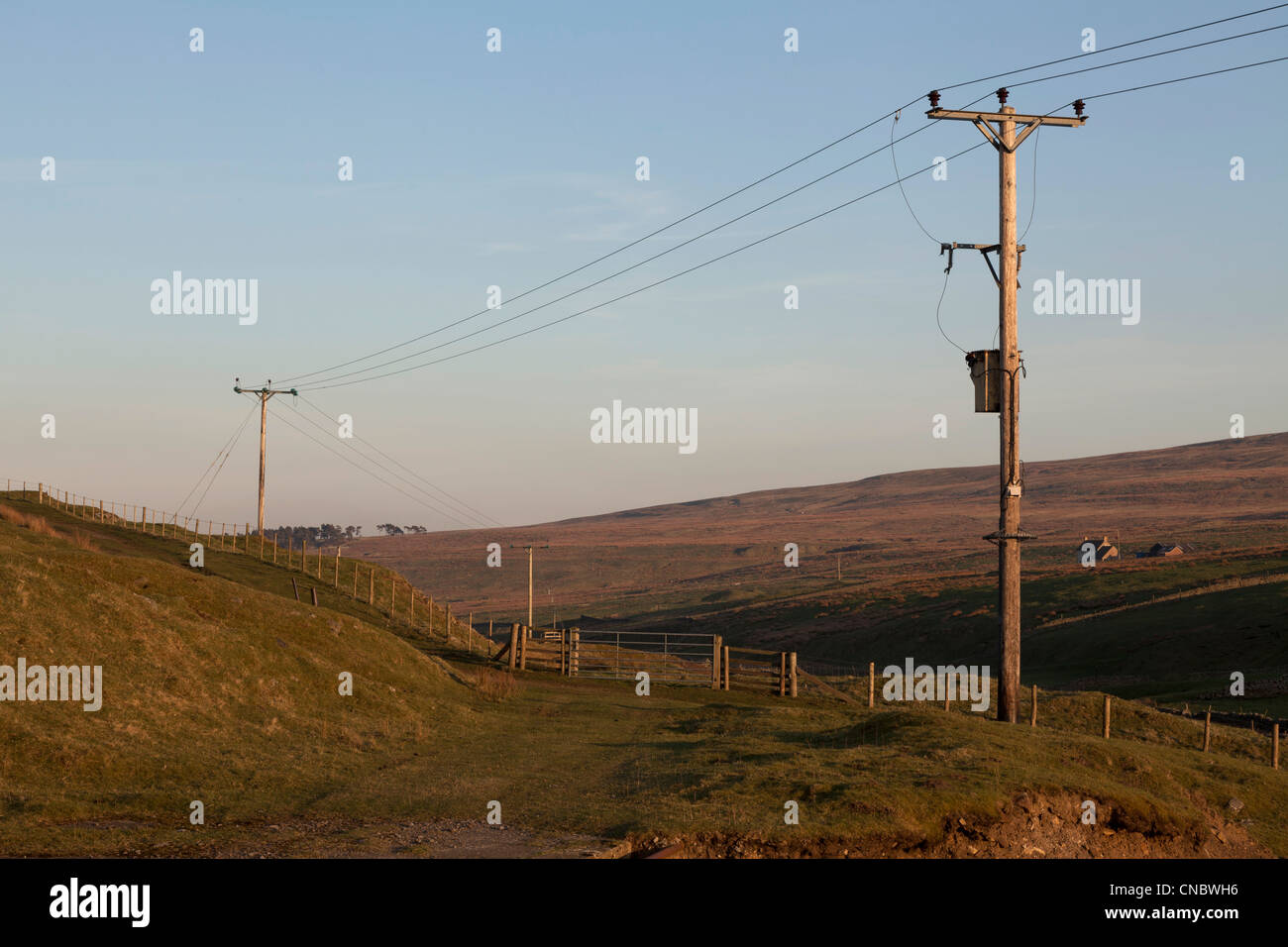 Telegraph wires over moorside in Weardale in the north Penines Stock Photo