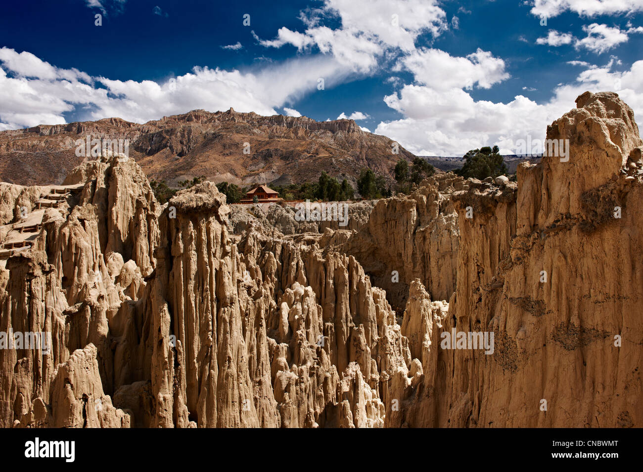 Moon Valley Erosion Landscape Near La Paz Bolivia South America Stock Photo Alamy Moon Valley Erosion Landscape Near La Paz Bolivia South America Stock Photo Alamy