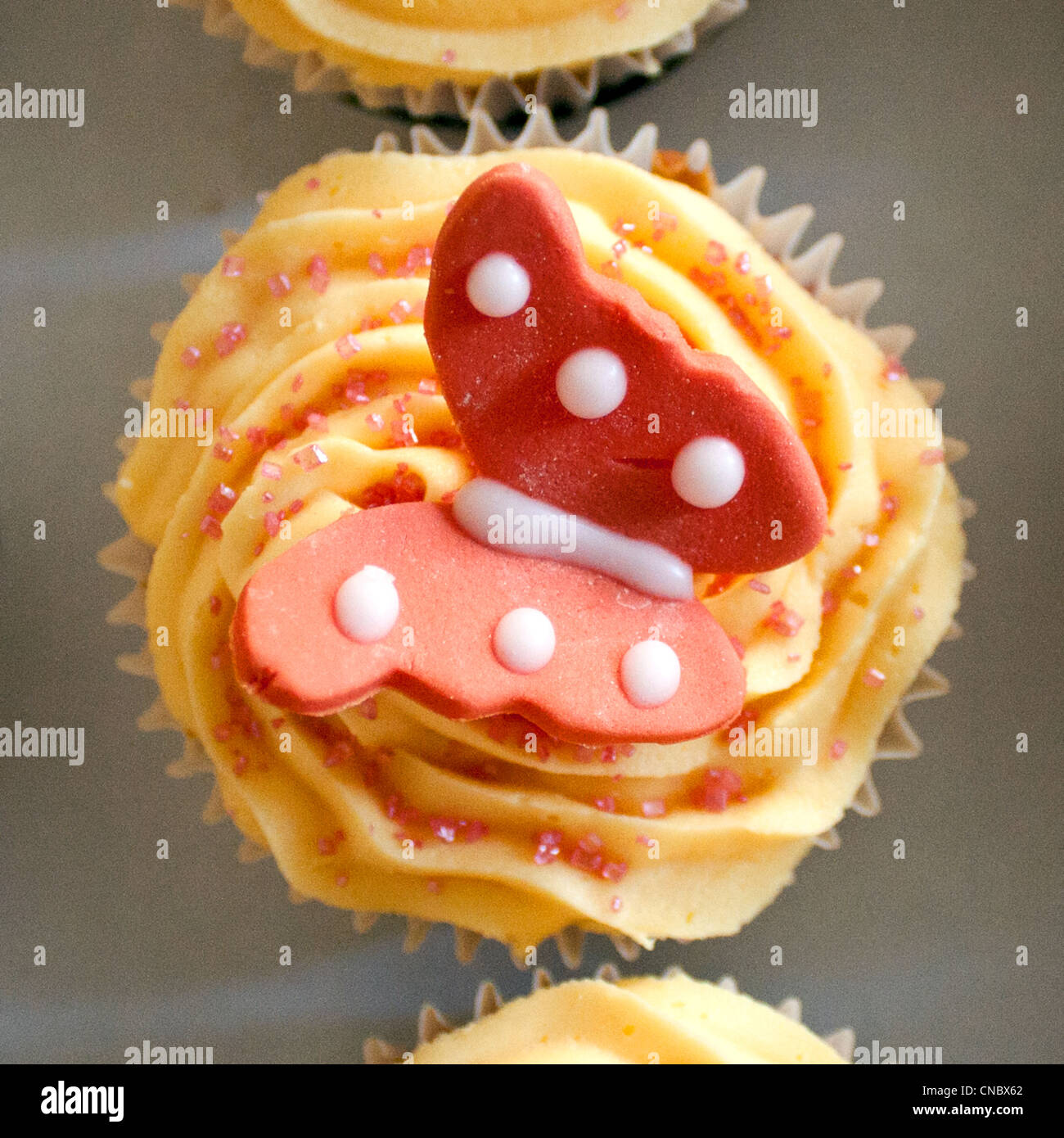 Close up shot of beautifully iced and decorated butterfly cupcake. Stock Photo