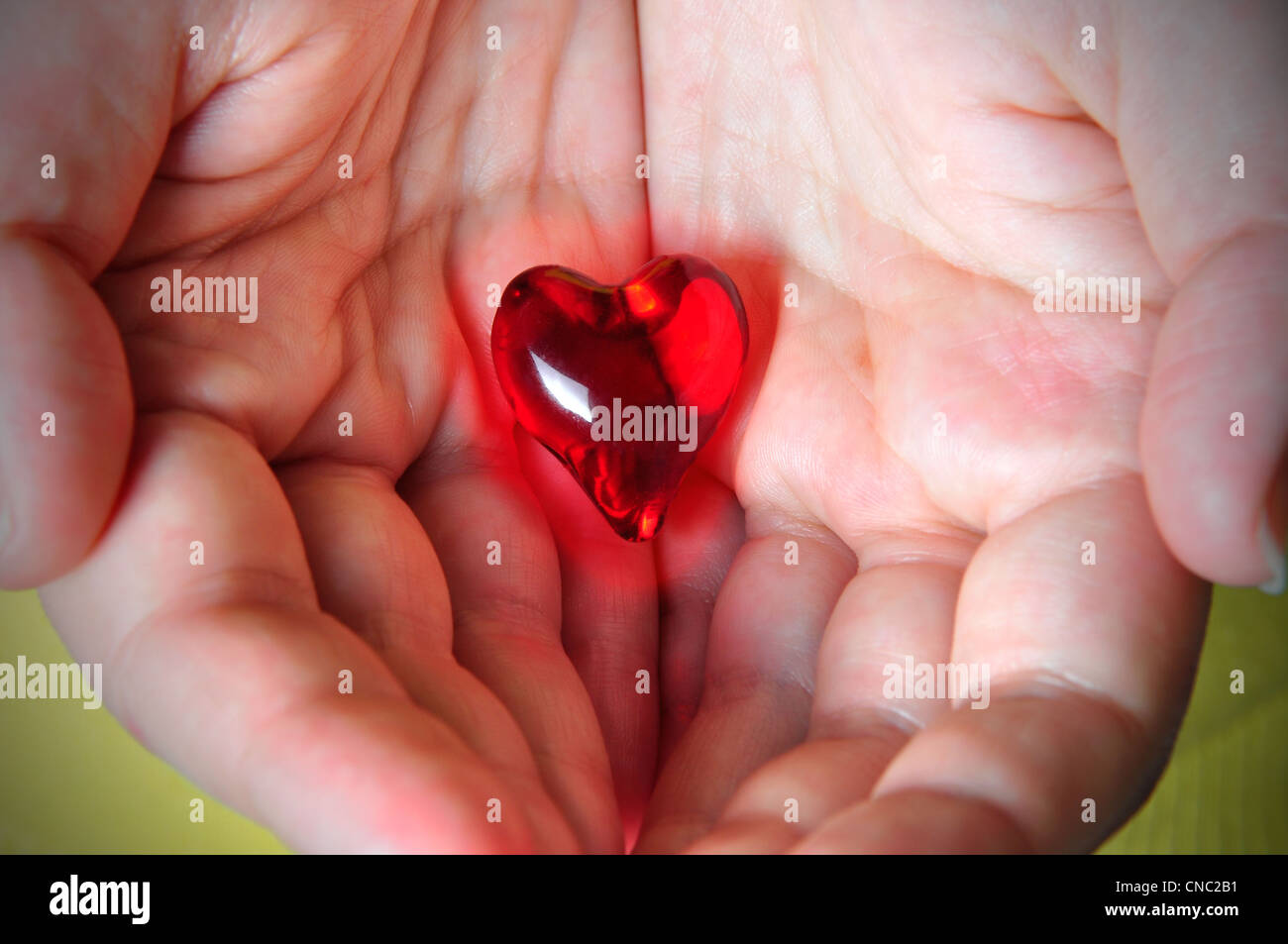 Glowing red heart hold on the palm of one's hands Stock Photo
