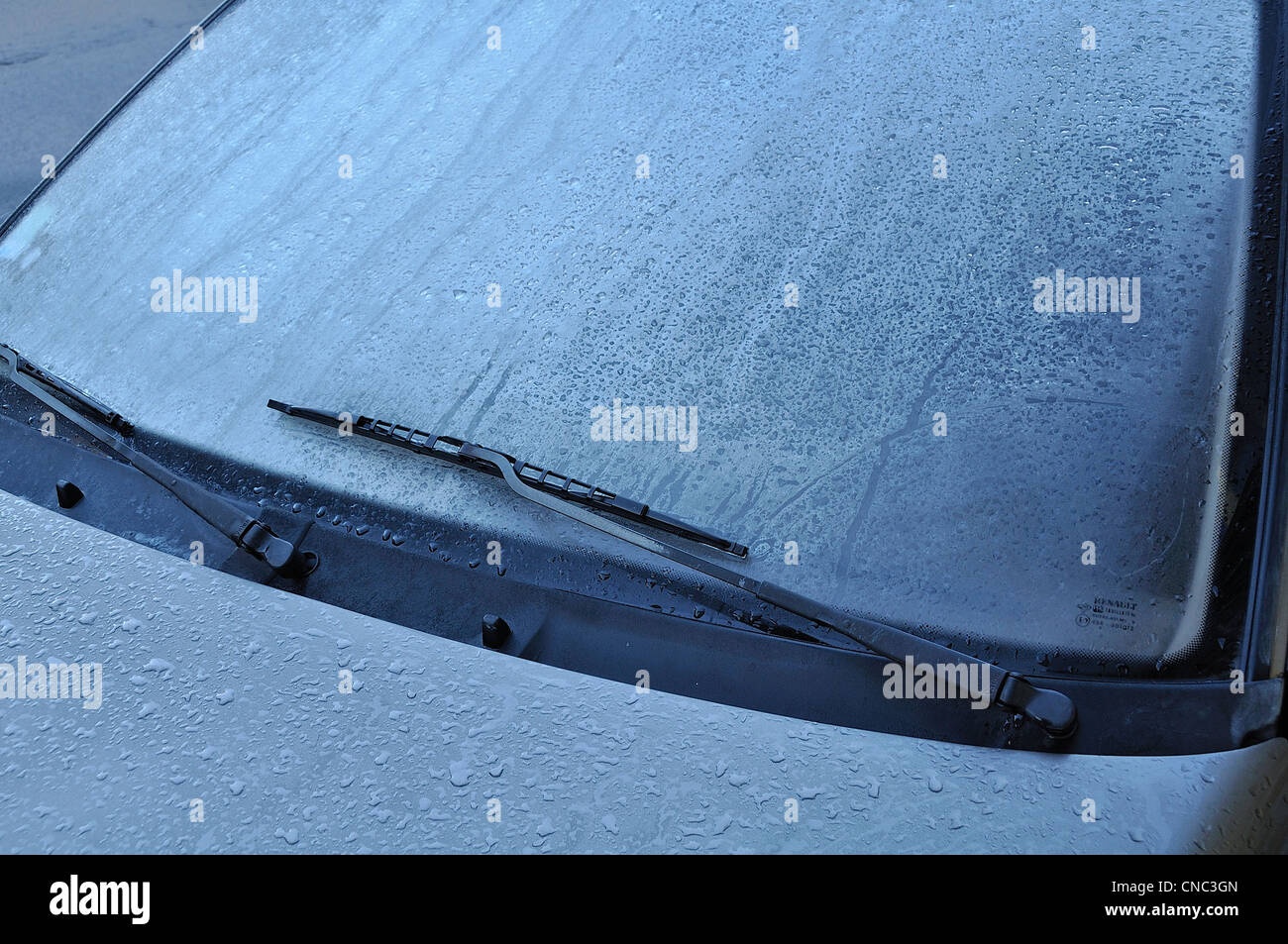 Car rear window and cap covered in ice on a frosty winter morning Stock