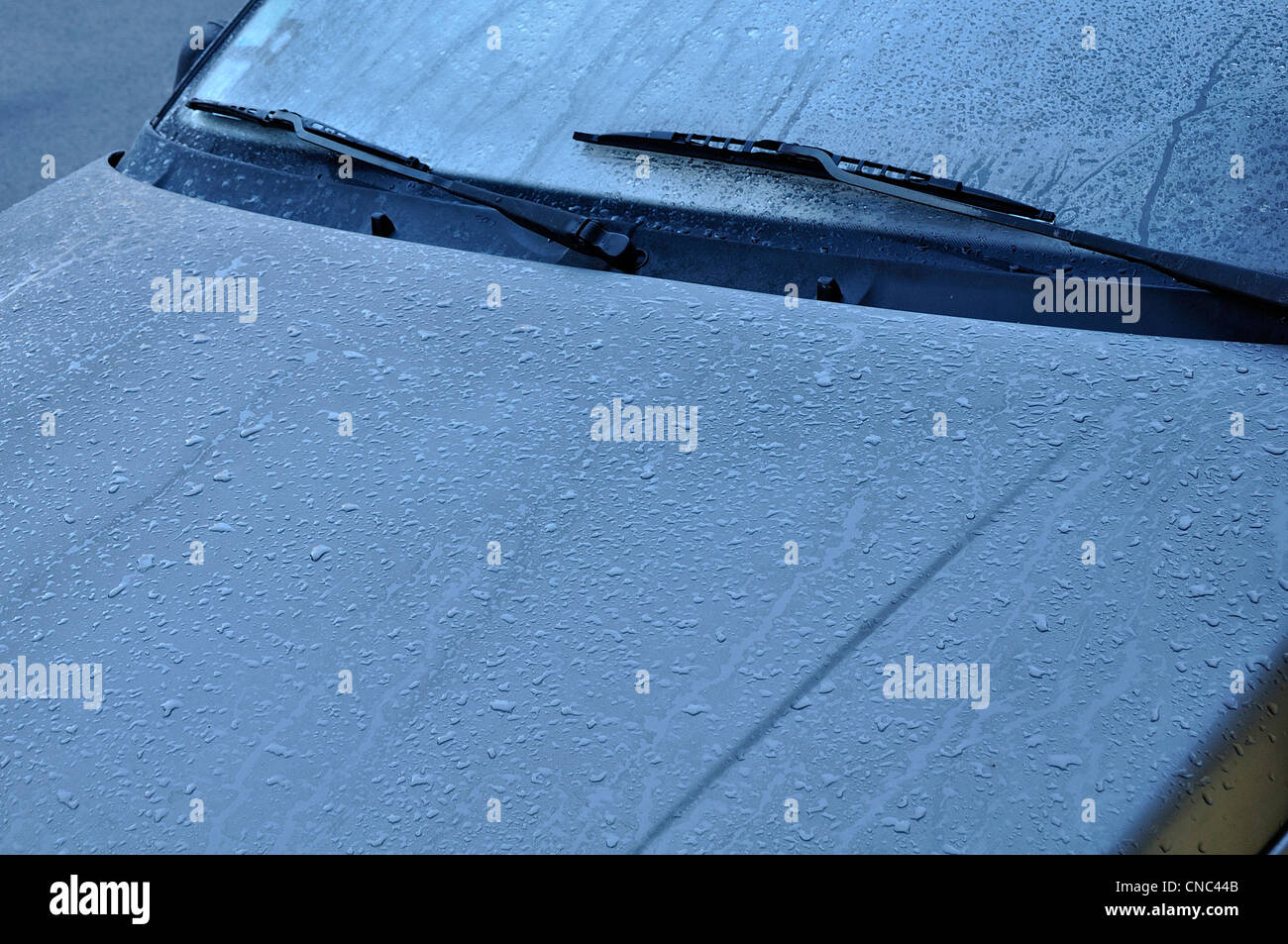 Car rear window and cap covered in ice on a frosty winter morning Stock