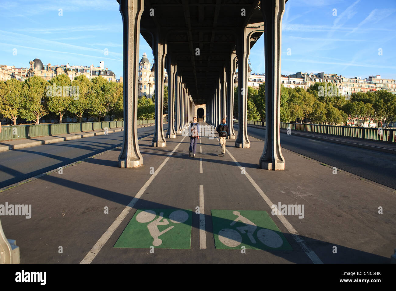 France, Paris, Pont Bir-Hakeim, aerial metro line 6 and Passy area buildings Stock Photo