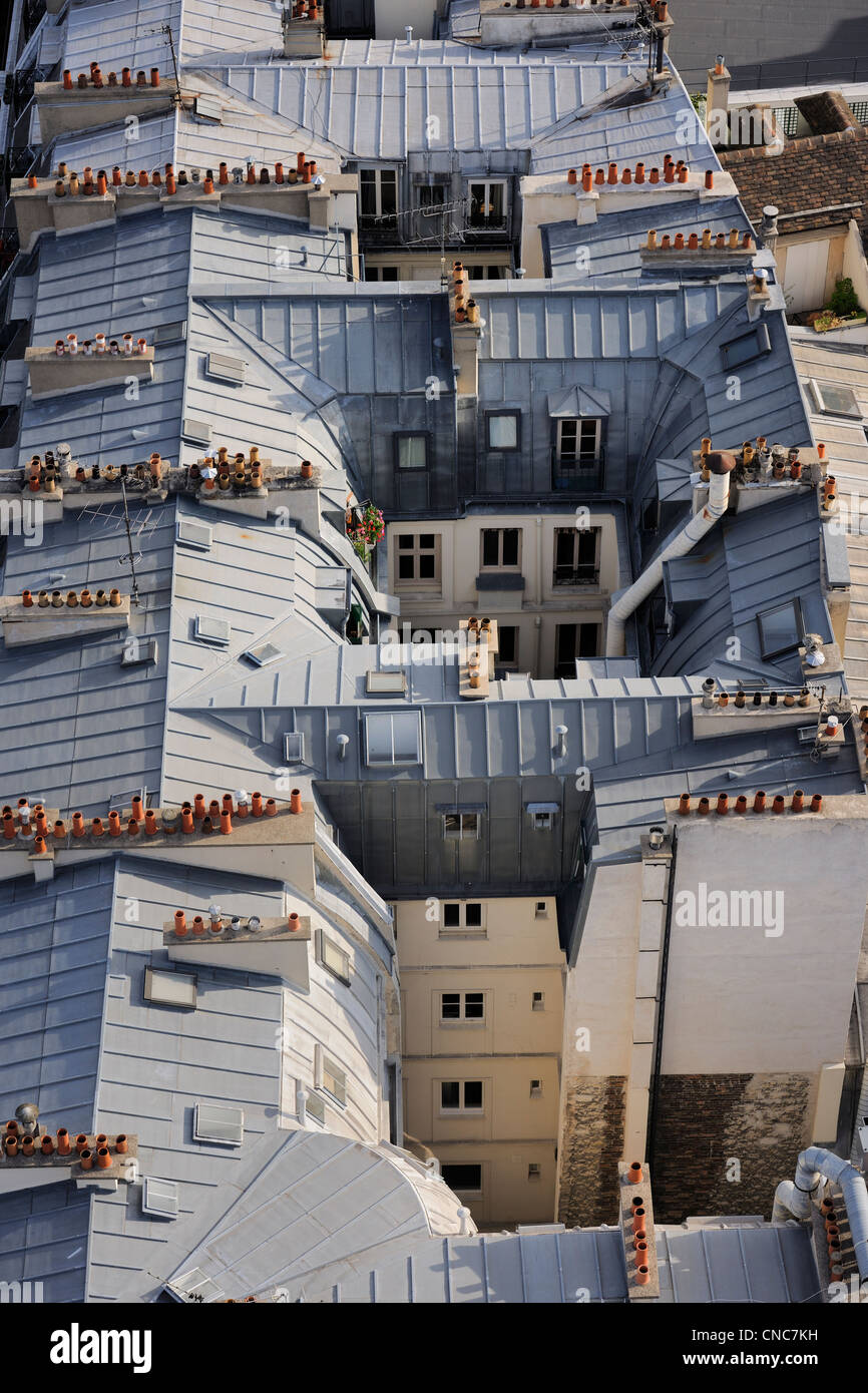 France, Paris, Ile de la Cite, tin roofing of Haussmann buildings Stock Photo