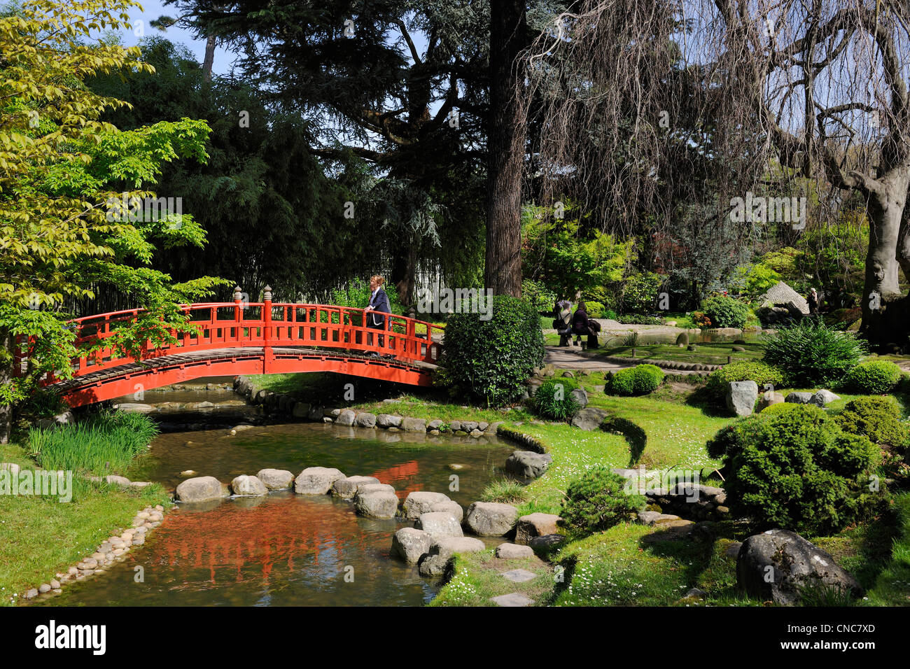 France, Hauts de Seine, Boulogne Billancourt, Japanese garden in Albert Kahn departmental museum Stock Photo