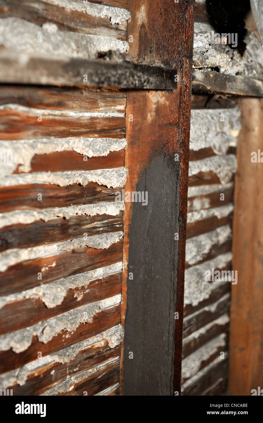 Back of lath and lime plaster wall showing how the plaster is held by plaster keys Stock Photo