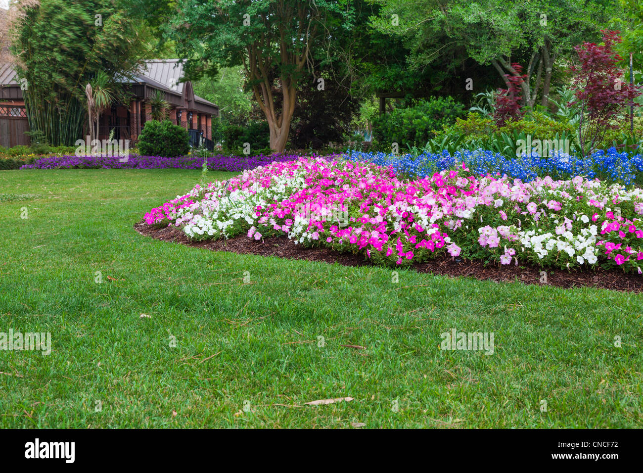 Summer flower plantings at Mercer Arboretum and Botanical Gardens in