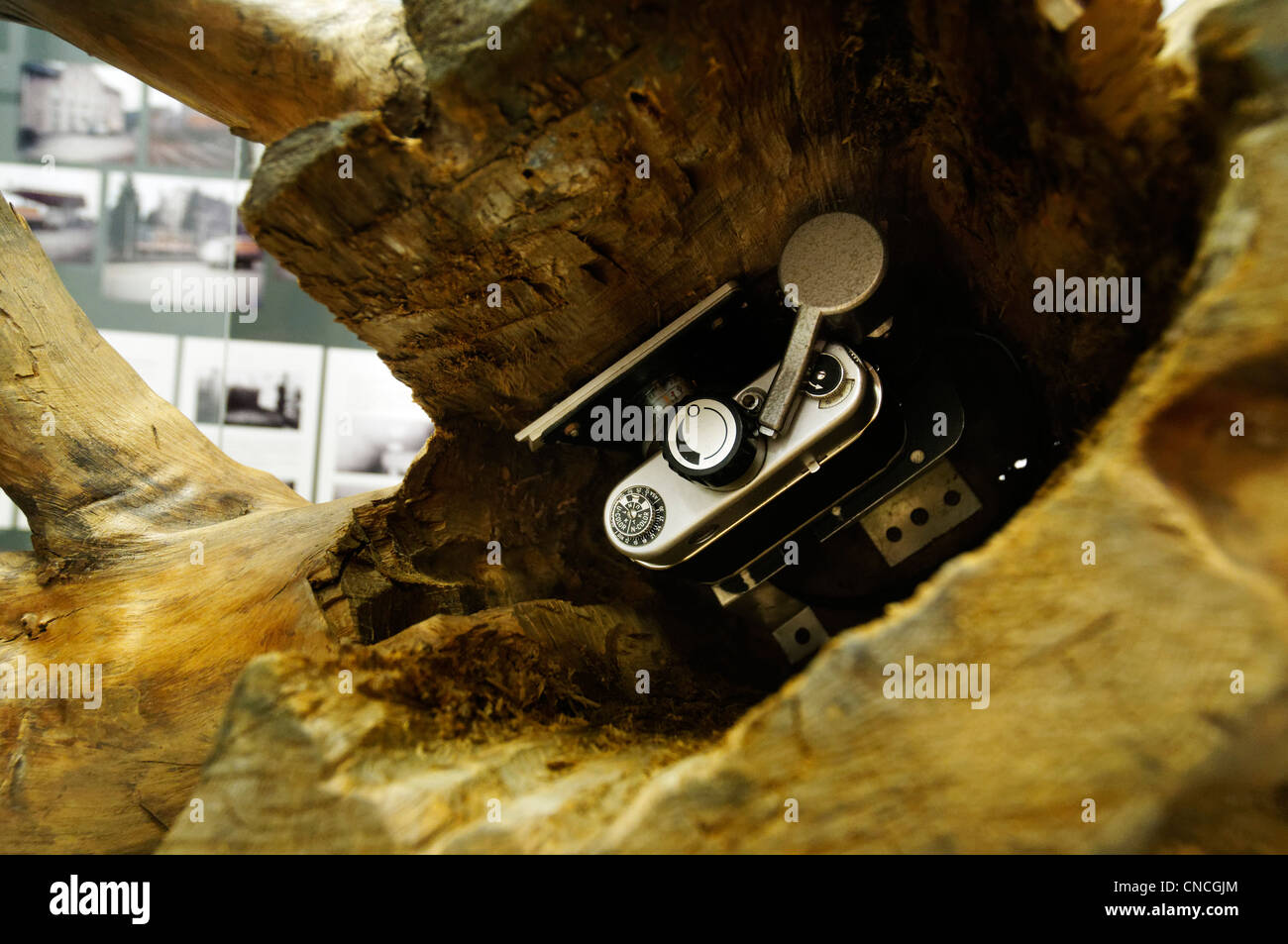 A spy camera hidden in a hollow tree from the Stasi museum in Berlin Stock Photo