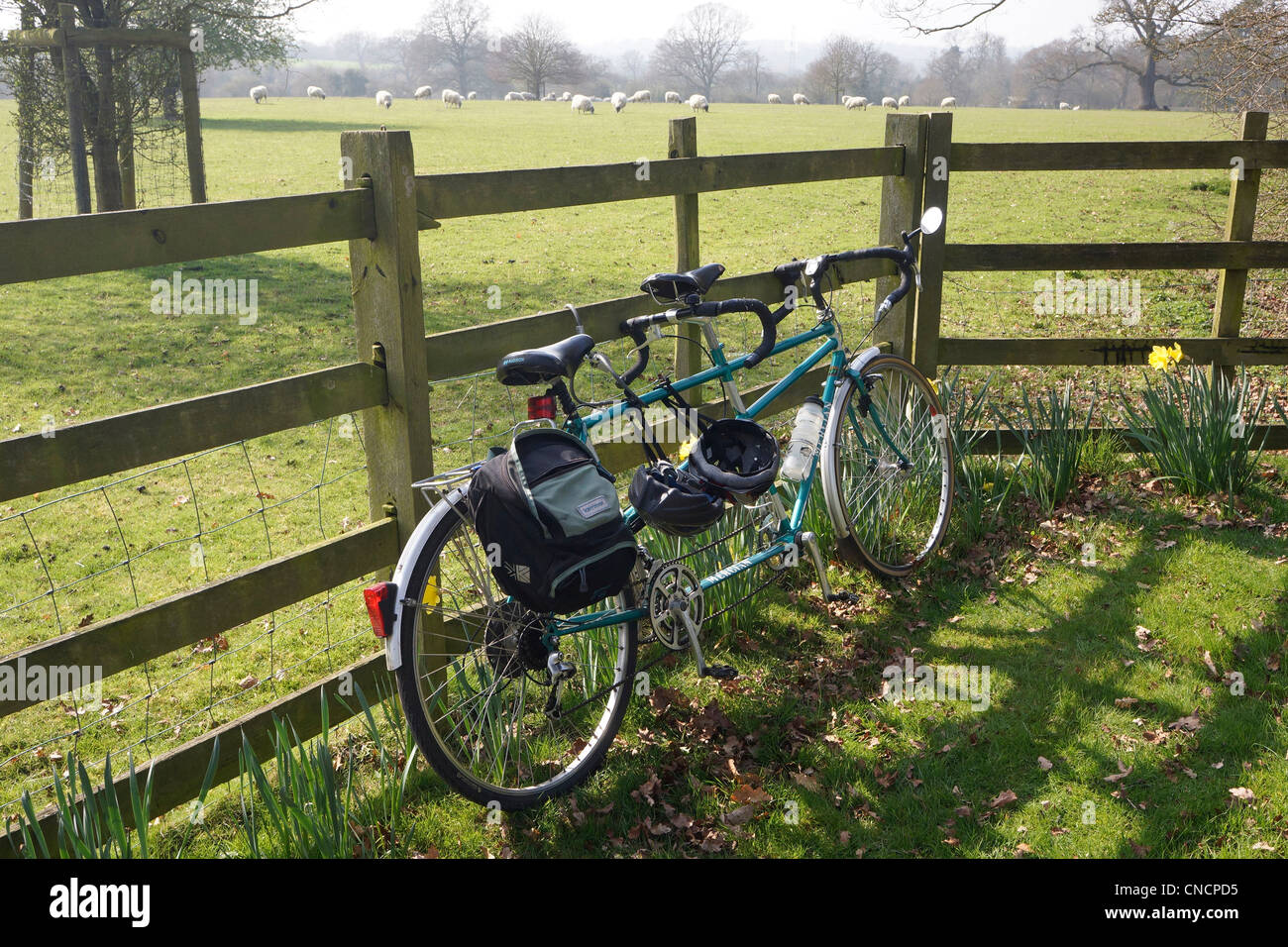 tandem bicycle cycling Stock Photo - Alamy