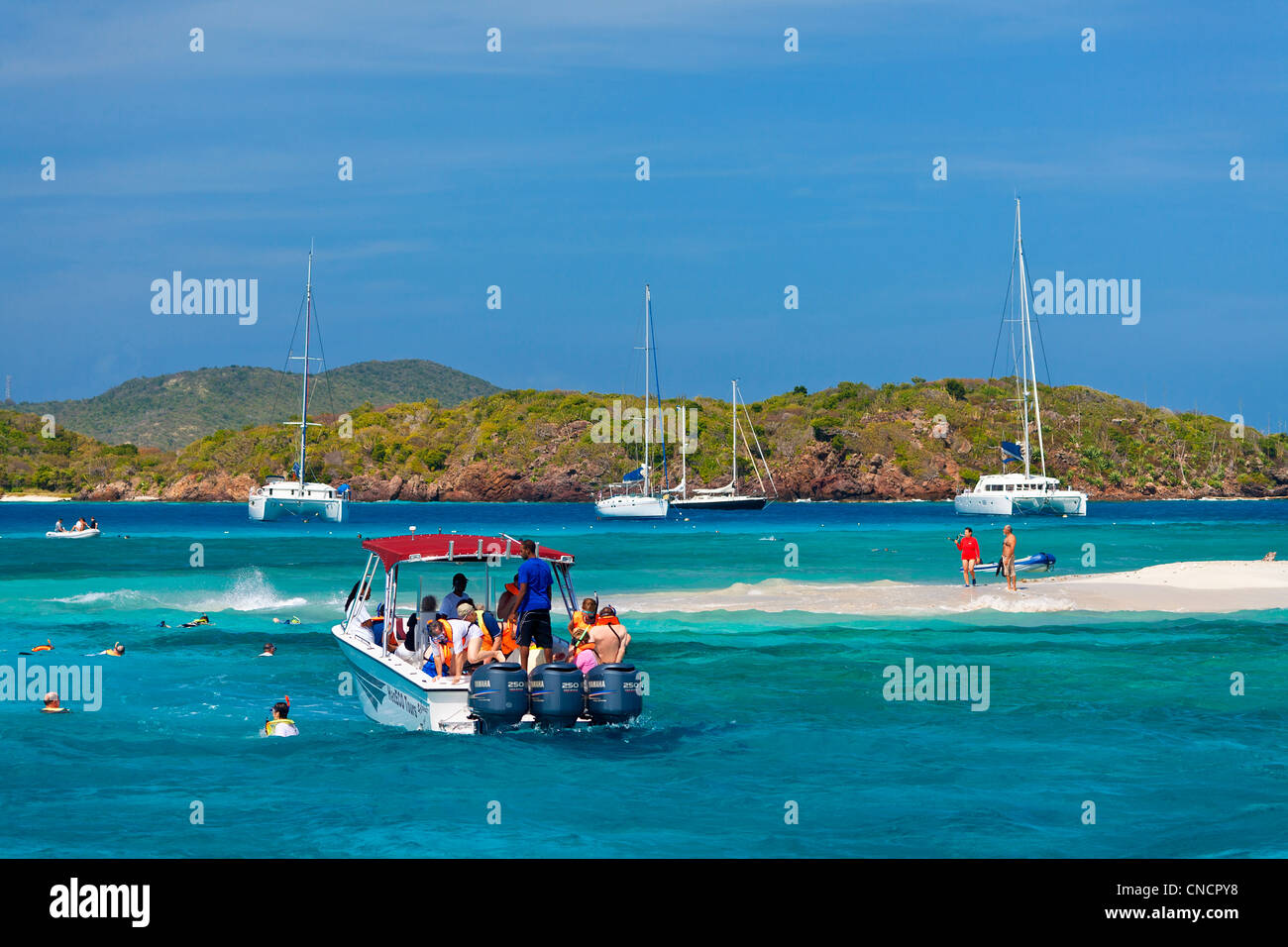 Central America, Caribbean, Lesser Antilles, St. Vincent and the Grenadines, Tobago Cays Stock Photo