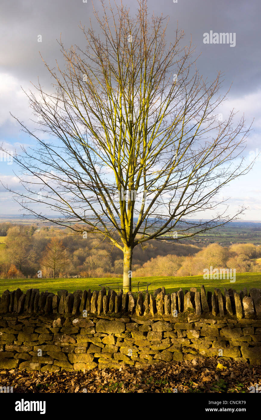 cotswolds saintbury gloucestershire Stock Photo