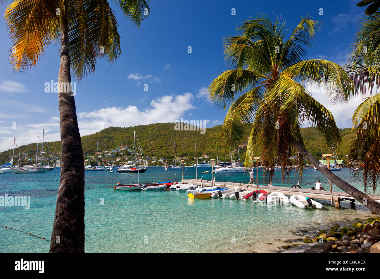 Port Elizabeth, Bequia Island Stock Photo Alamy