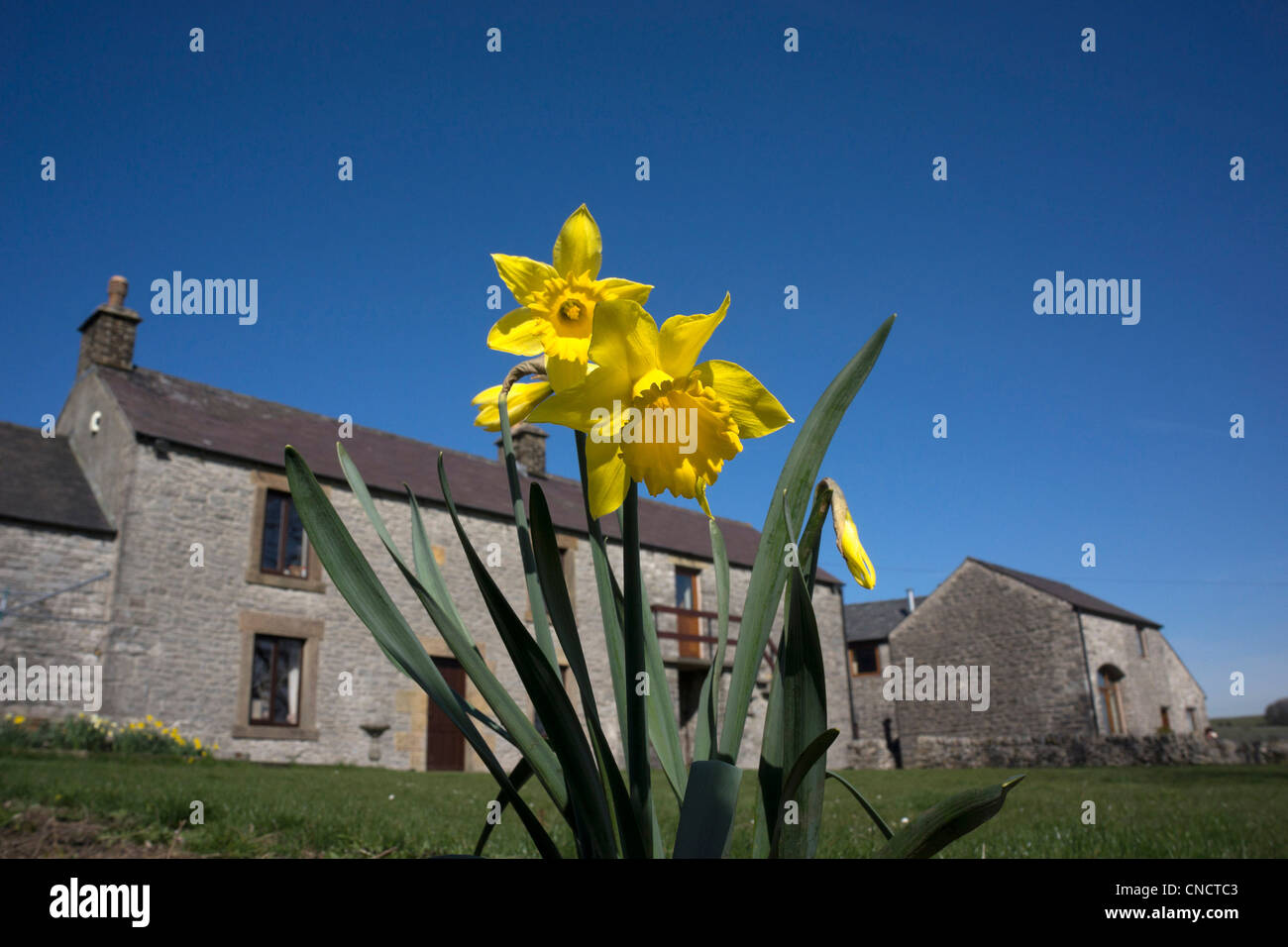 images of england Stock Photo