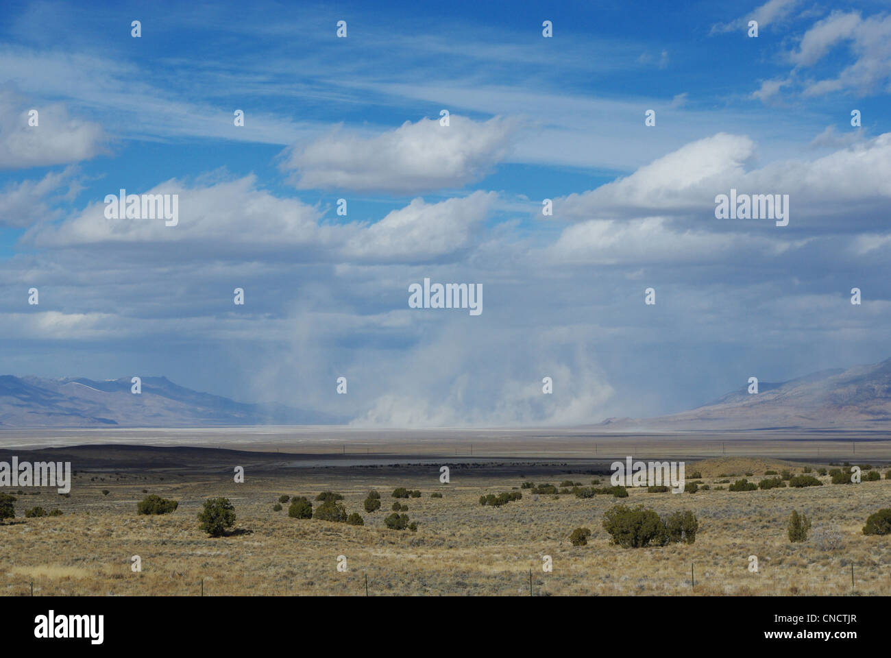 High desert sandstorm, Nevada Stock Photo