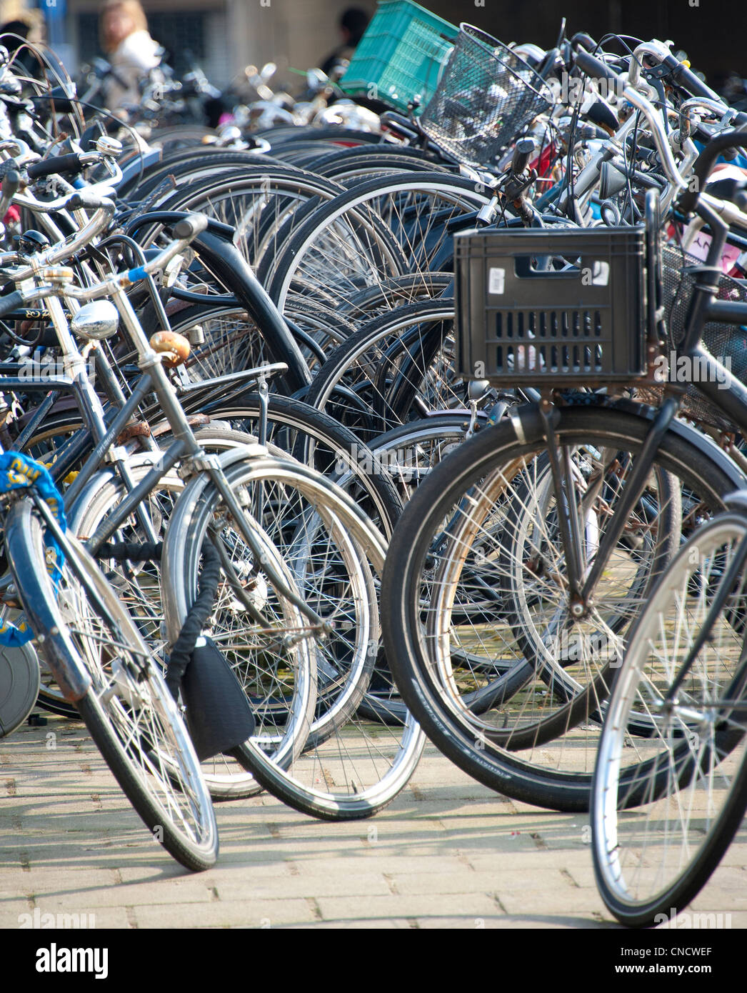Amsterdam Bike Rack Stock Photos & Amsterdam Bike Rack Stock Images Alamy