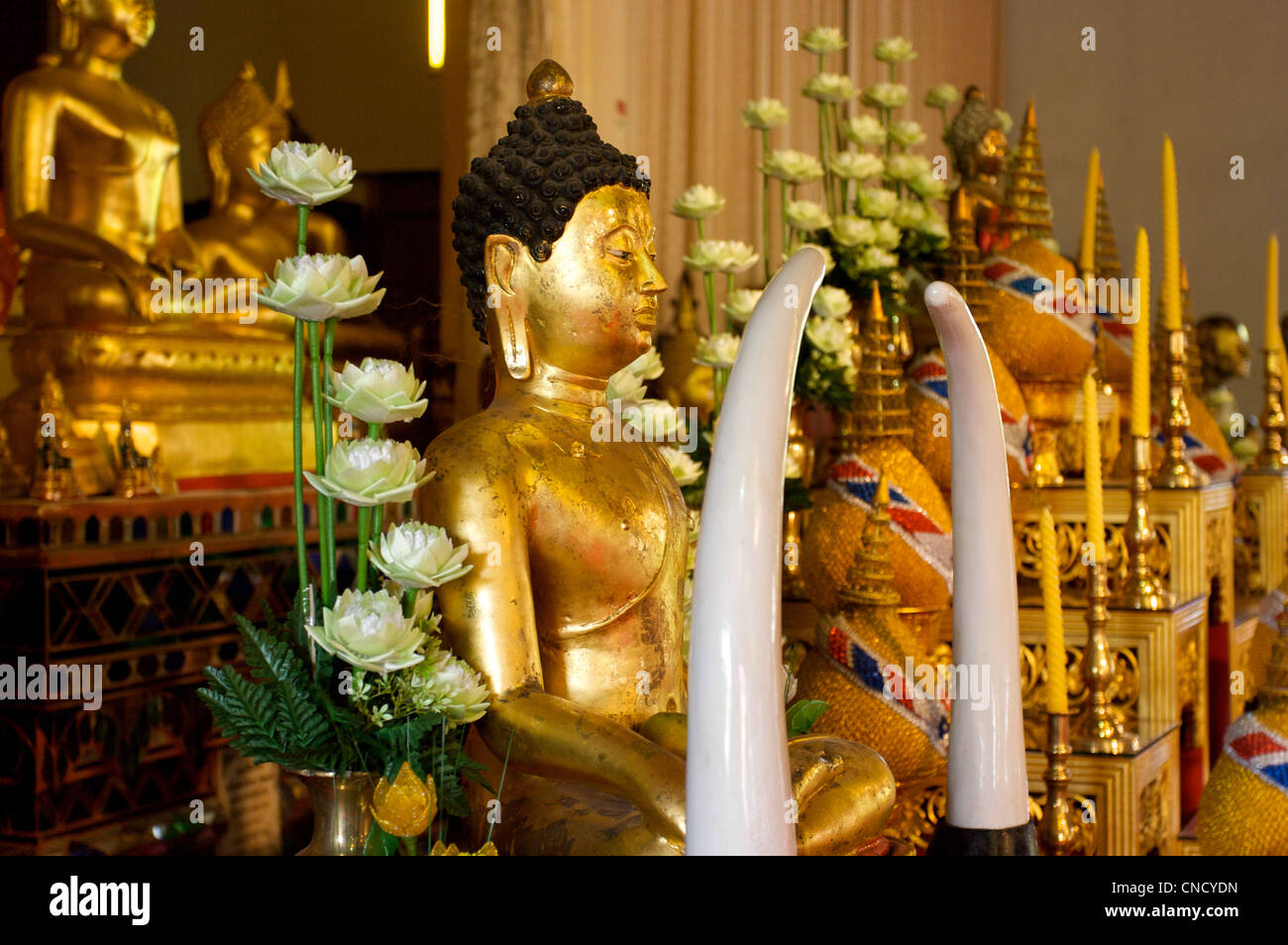 ivory, buddha image, gold leaf,main building, wat pra sing,chiang mai,Thailand Stock Photo