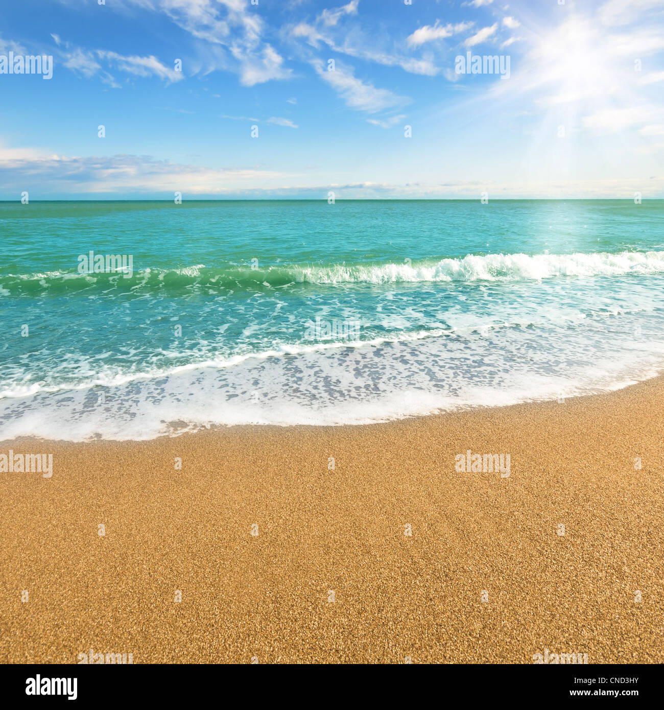 Sea shore at summer sunny day Stock Photo