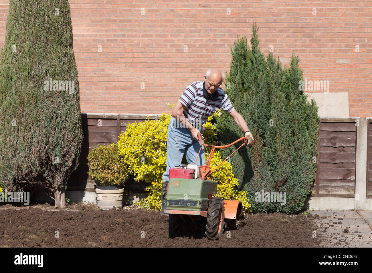 Man using rotavator to prepare soil before laying lawn turf. Stock Photo