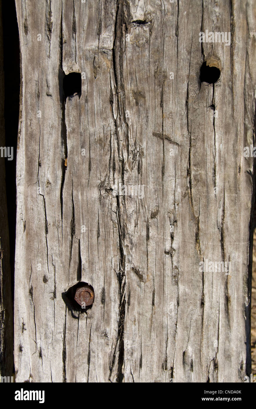 A piece of old grey , cracked and weathered timber with bolt holes in it Stock Photo